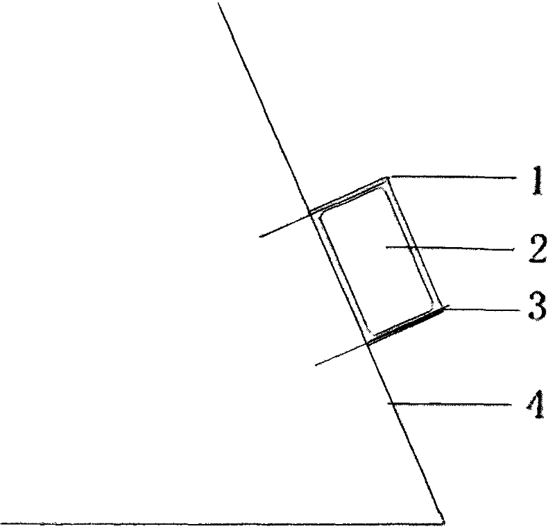 Method for greening vegetation module slope