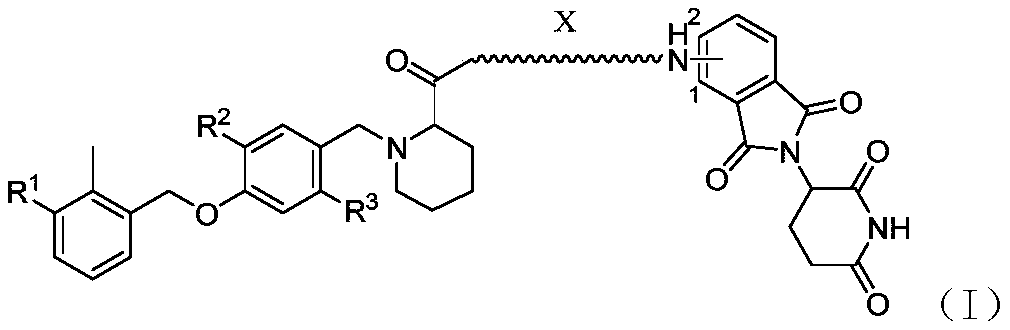 Pomalidomide derivative and application thereof