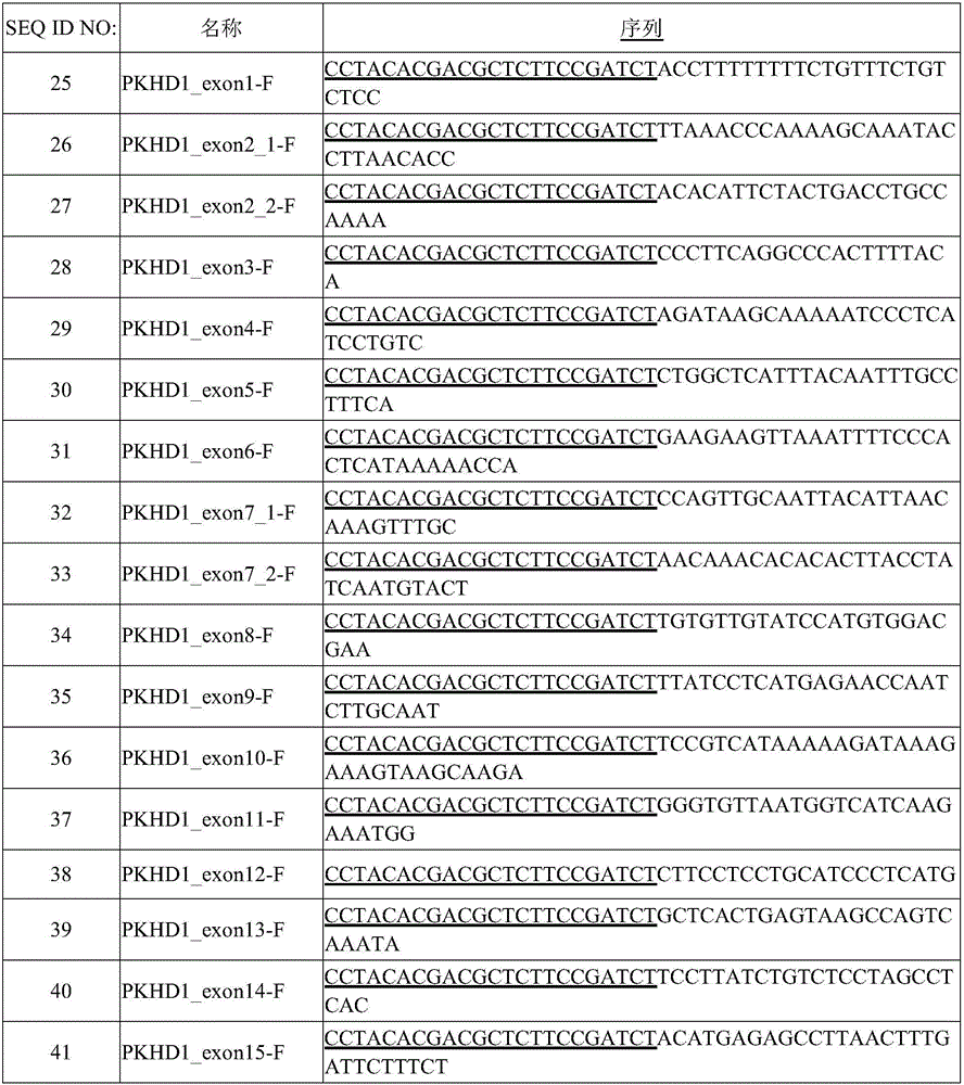 Method for establishing sequencing library of PKHD1 gene mutation and kit and use thereof