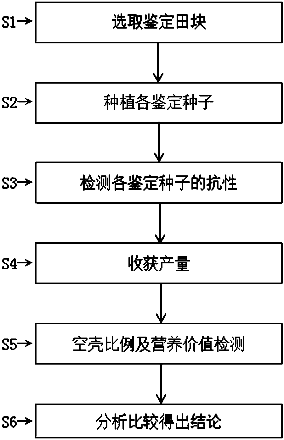 High-quality rice seed screening method