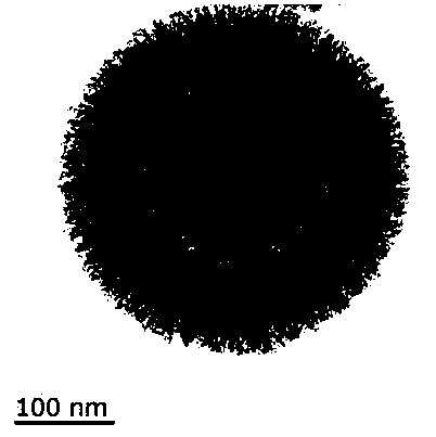 Method for preparing hollow microporous carbon sphere coated nanometer sulfur molecular material