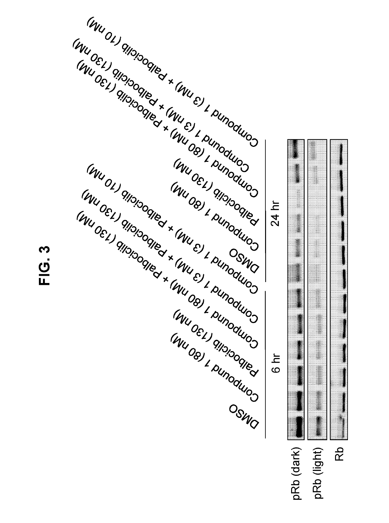 Inhibitors of the fibroblast growth factor receptor 4 in combination with cyclin-dependent kinase inhibitors