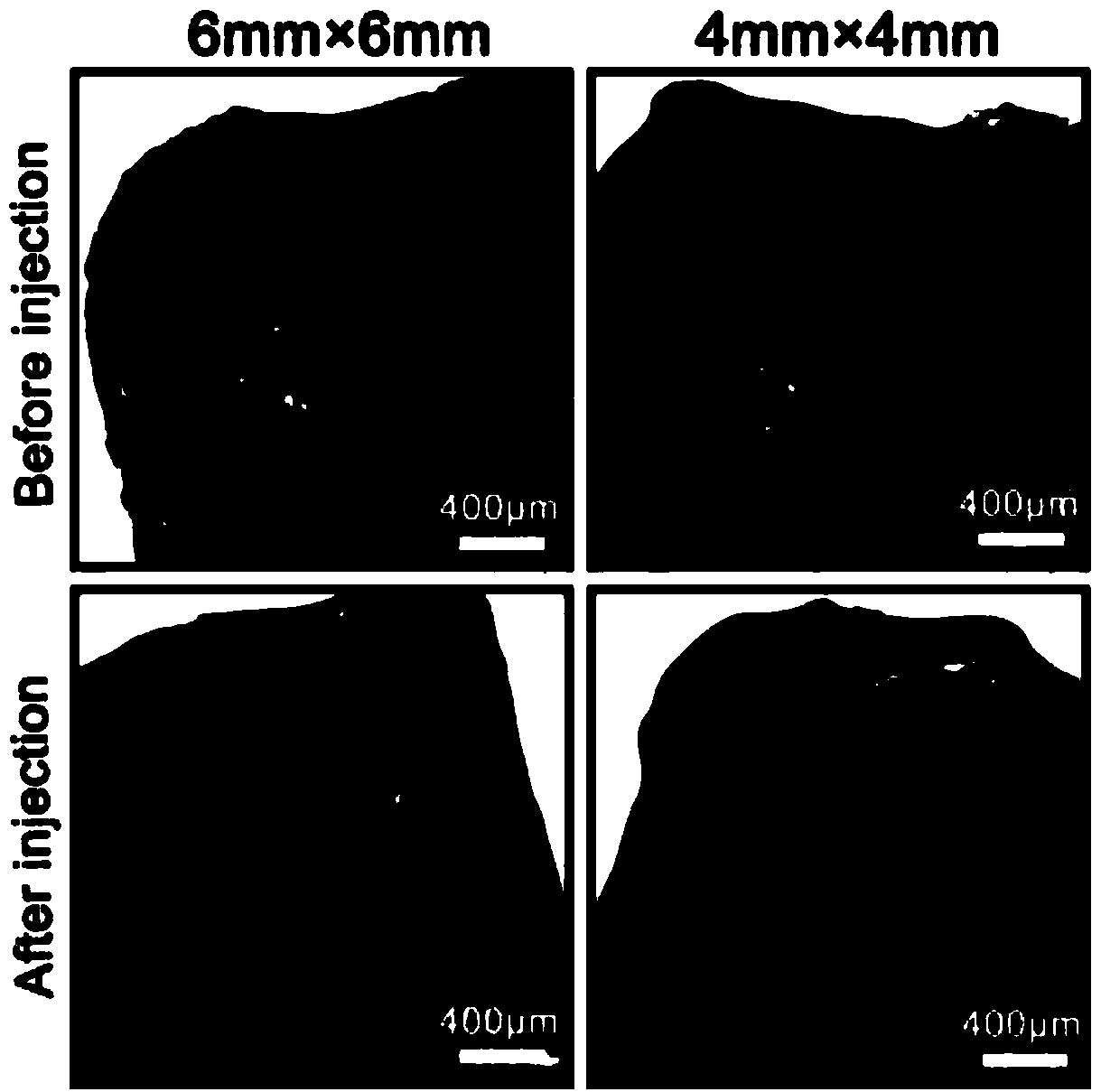 A kind of sericin conductive hydrogel and preparation method thereof and stent prepared therefrom