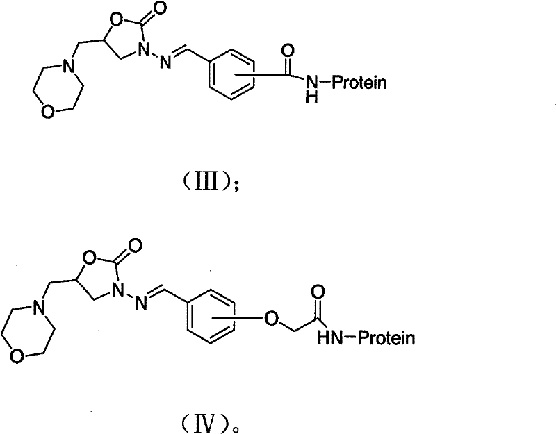 5-methyl morpholine-3-amino-2-oxazolidinone derivative hapten, antigen and antibody, and application thereof