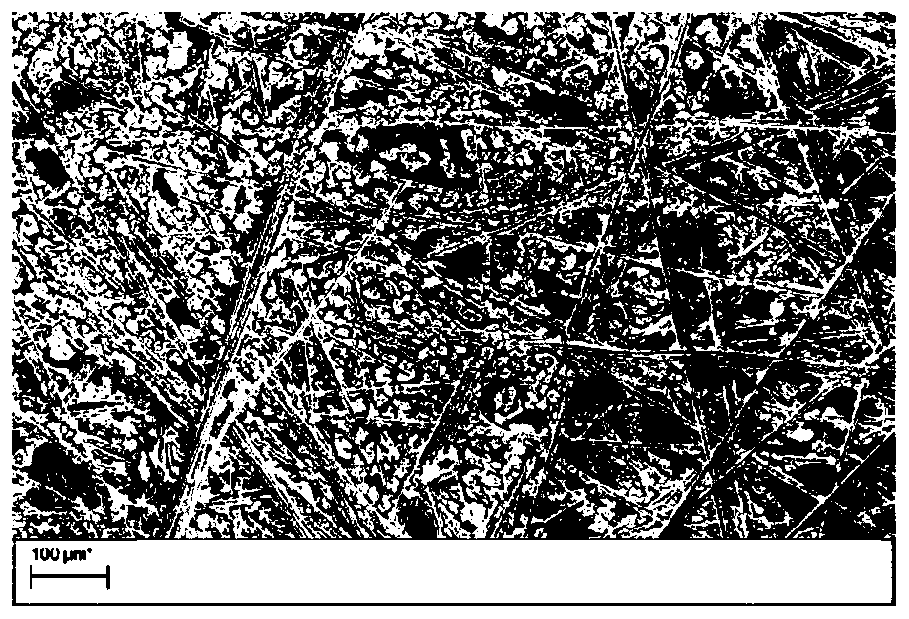 Self-supporting water electrolysis material with dual carbon sandwich structure and preparation method thereof