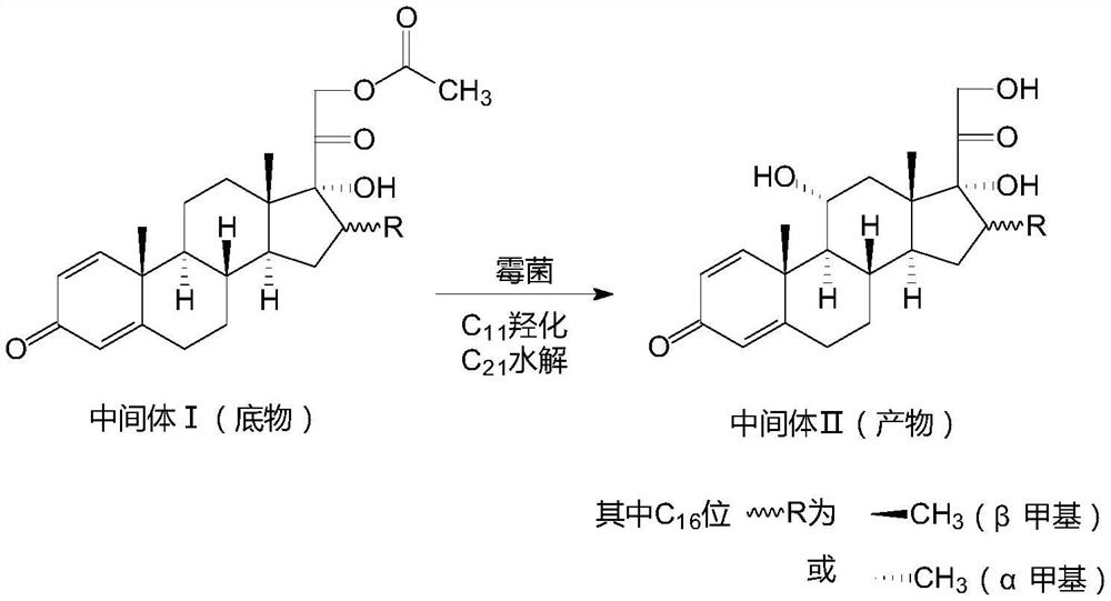 A kind of biotransformation preparation method of steroid intermediate