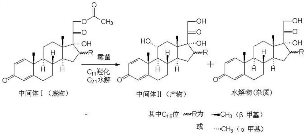 A kind of biotransformation preparation method of steroid intermediate