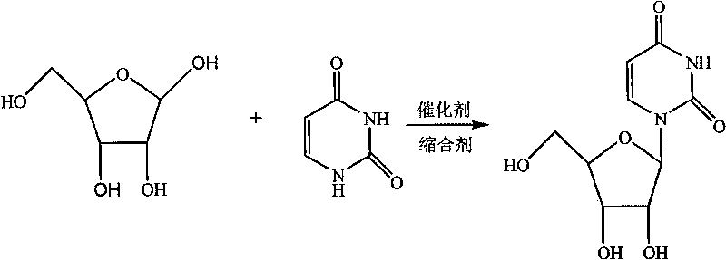 Novel method for synthesizing uridine