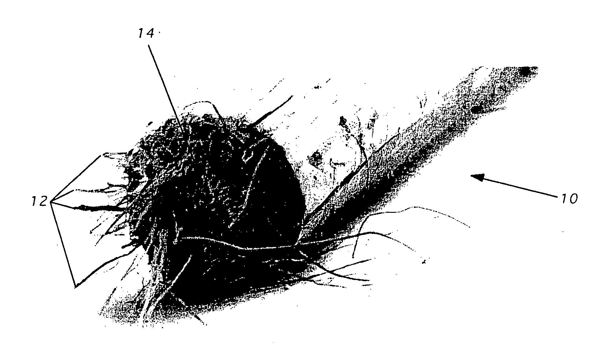 Fibers comprising starch and polymers