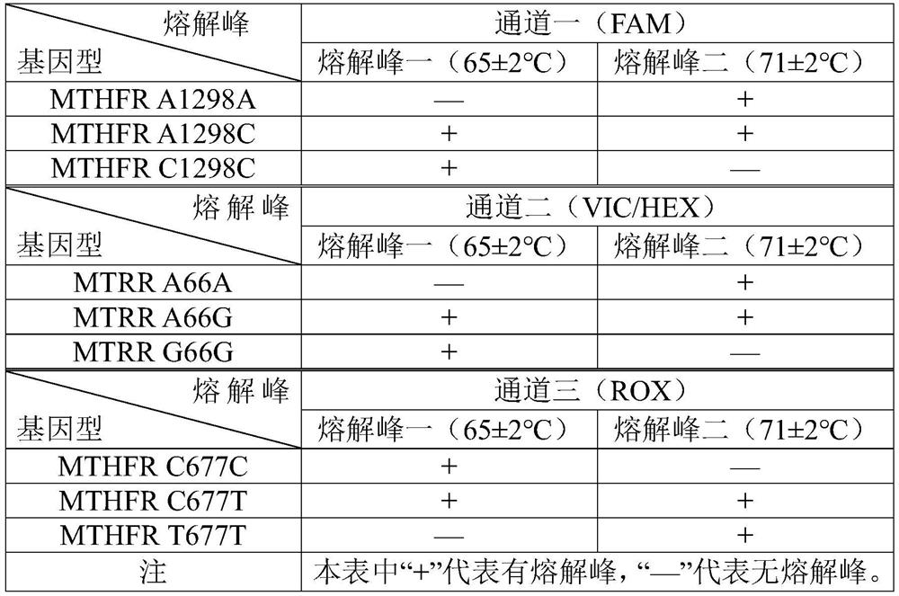 A primer, probe and kit for detecting human mthfr and mtrr gene mutations