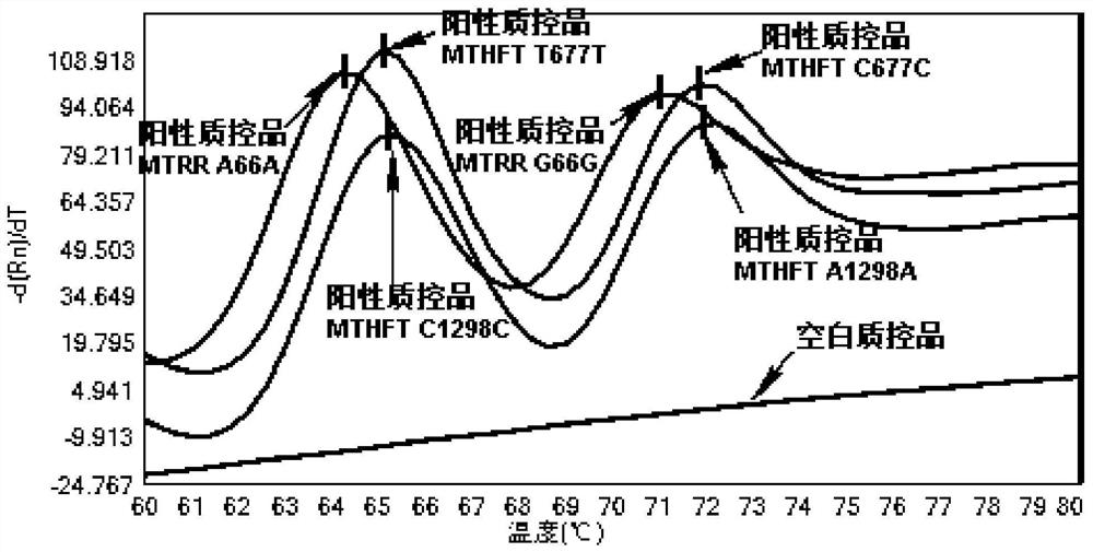 A primer, probe and kit for detecting human mthfr and mtrr gene mutations