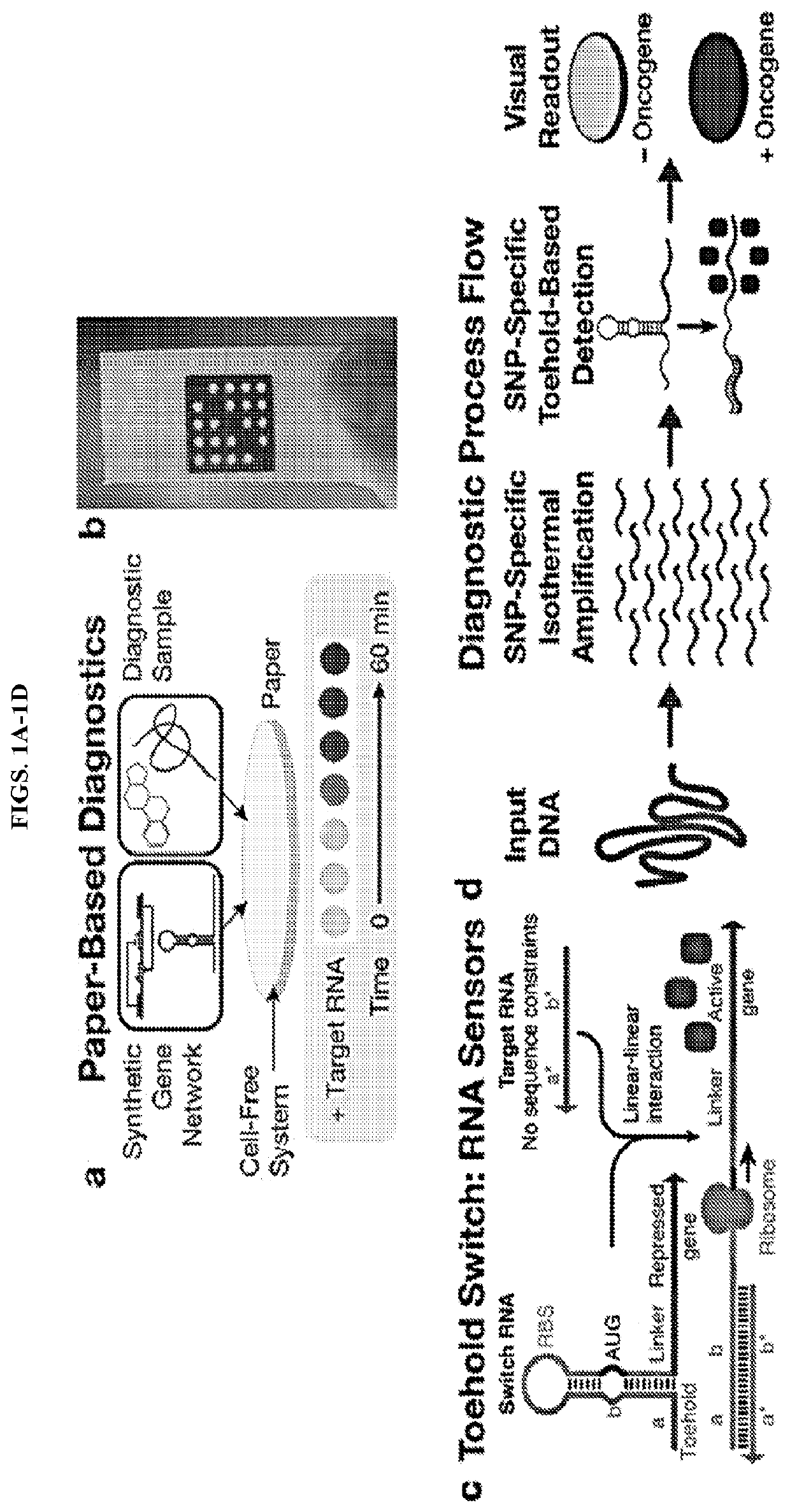 Ultraspecific nucleic acid sensors for low-cost liquid biopsies