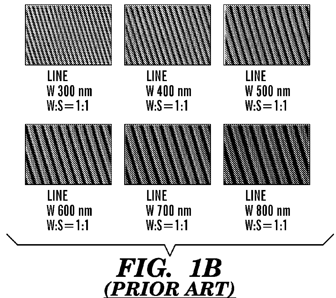 Systems and method for engineering muscle tissue