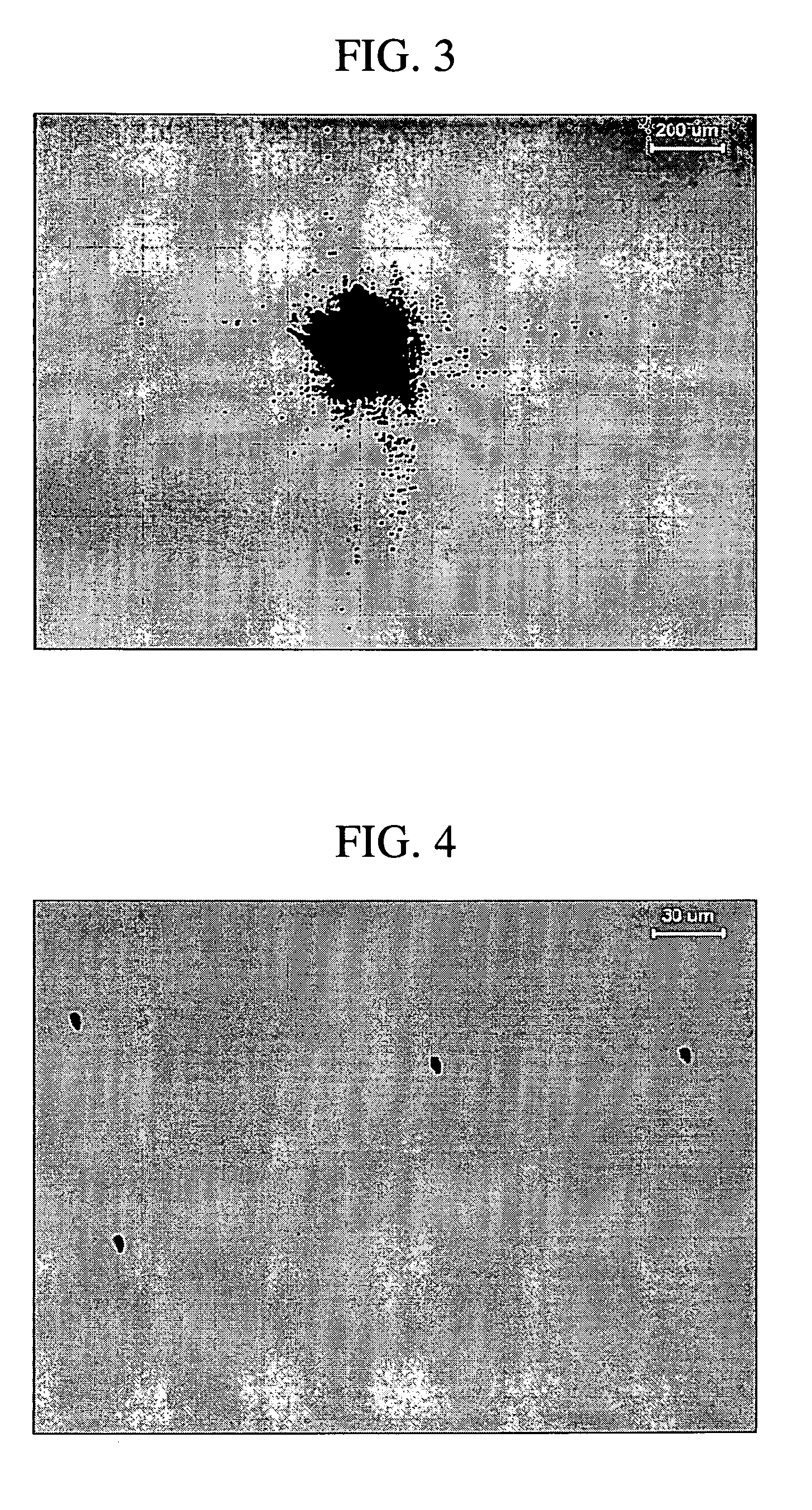 Wafer support pin for preventing slip dislocation during annealing of water and wafer annealing method using the same