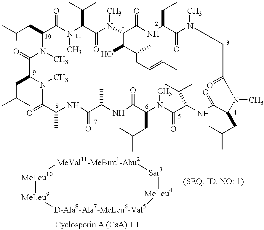 Cyclosporin a conjugates and uses therefor