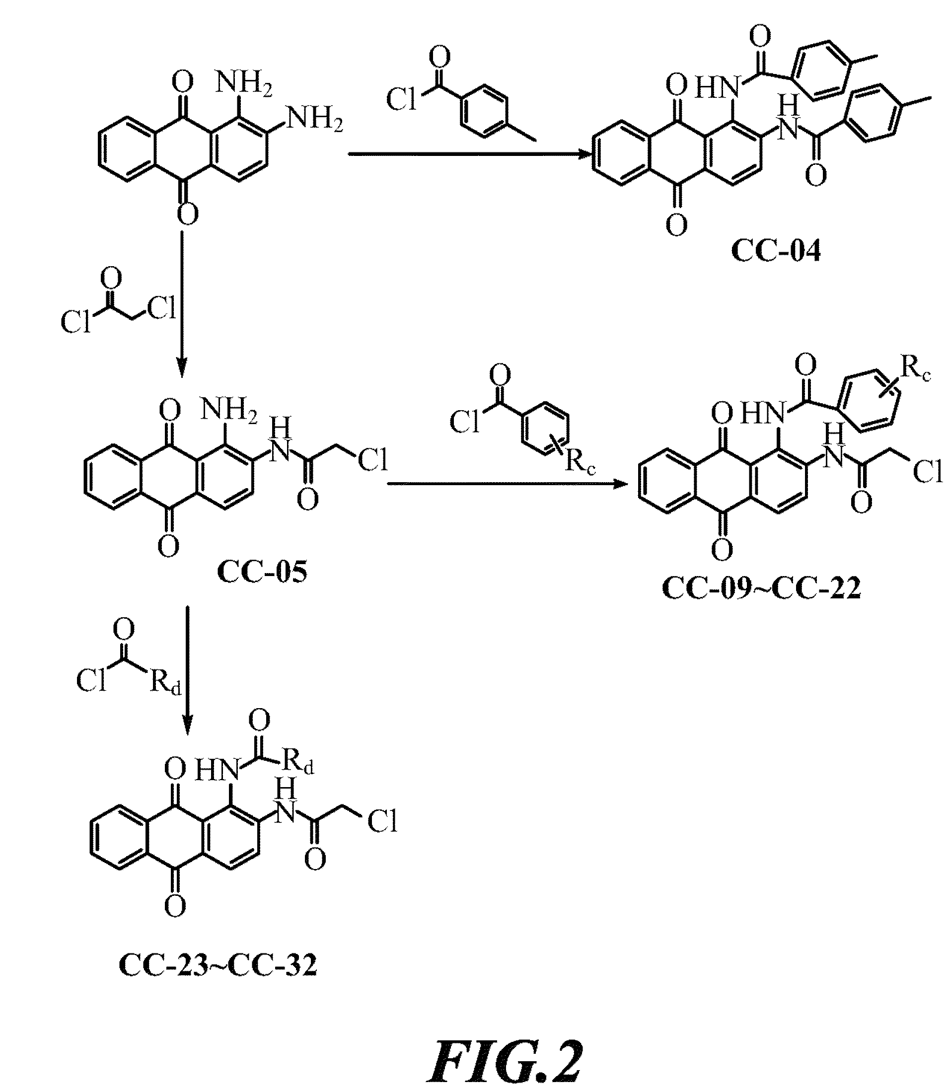 1, 2-disubstituted amido-anthraquinone derivatives, preparation method and application thereof