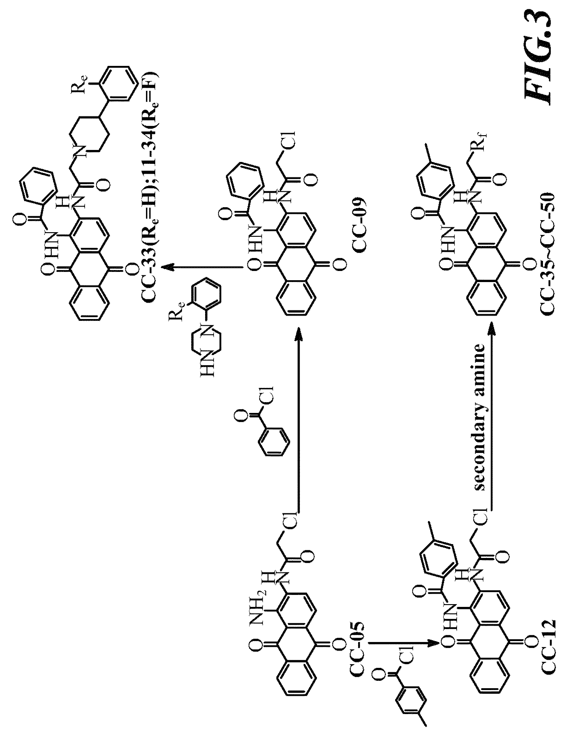 1, 2-disubstituted amido-anthraquinone derivatives, preparation method and application thereof