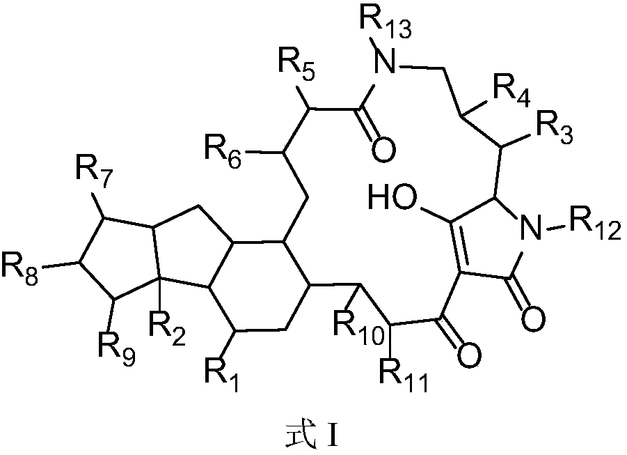 5,5,6-polycyclic tetramic-acid containing macrocyclic lactam compound and preparation method and application thereof