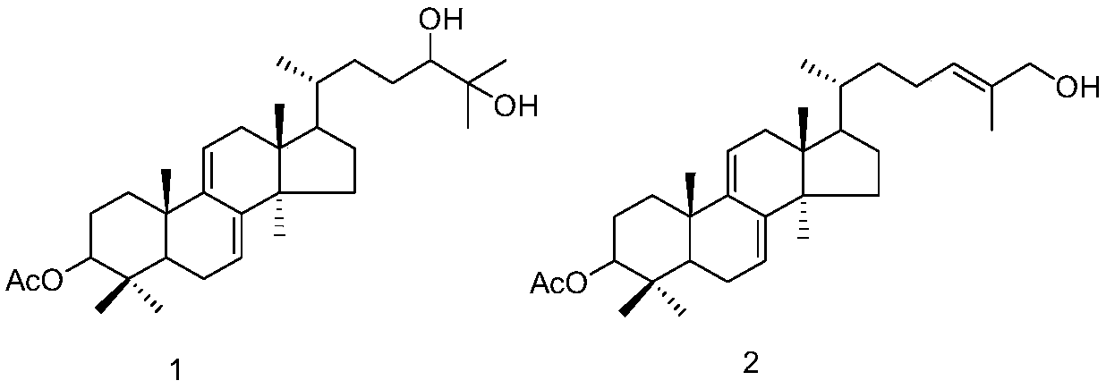 Triterpene compound and its preparation method and application