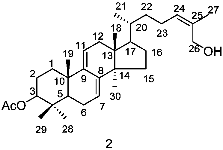 Triterpene compound and its preparation method and application