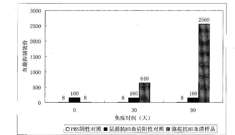 Anti-H5N1 type bird flue virus vicuna VHH heavy chain antibody as well as preparation method and application thereof