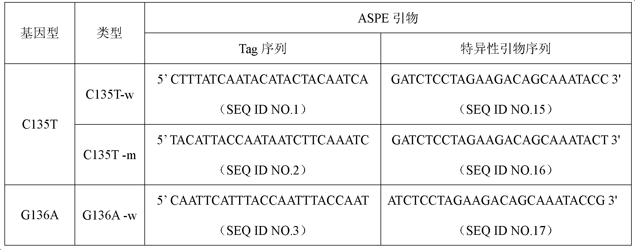 Specific primer and liquid chip for detecting polymorphism of NAT1 (N-acetyltransferase 1) gene