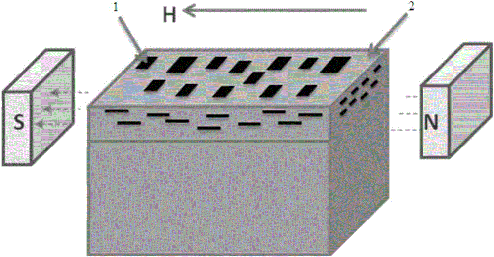 Preparation method of magnetic boron nitride nanosheet/polyurethane composite material having ordered surface microstructure