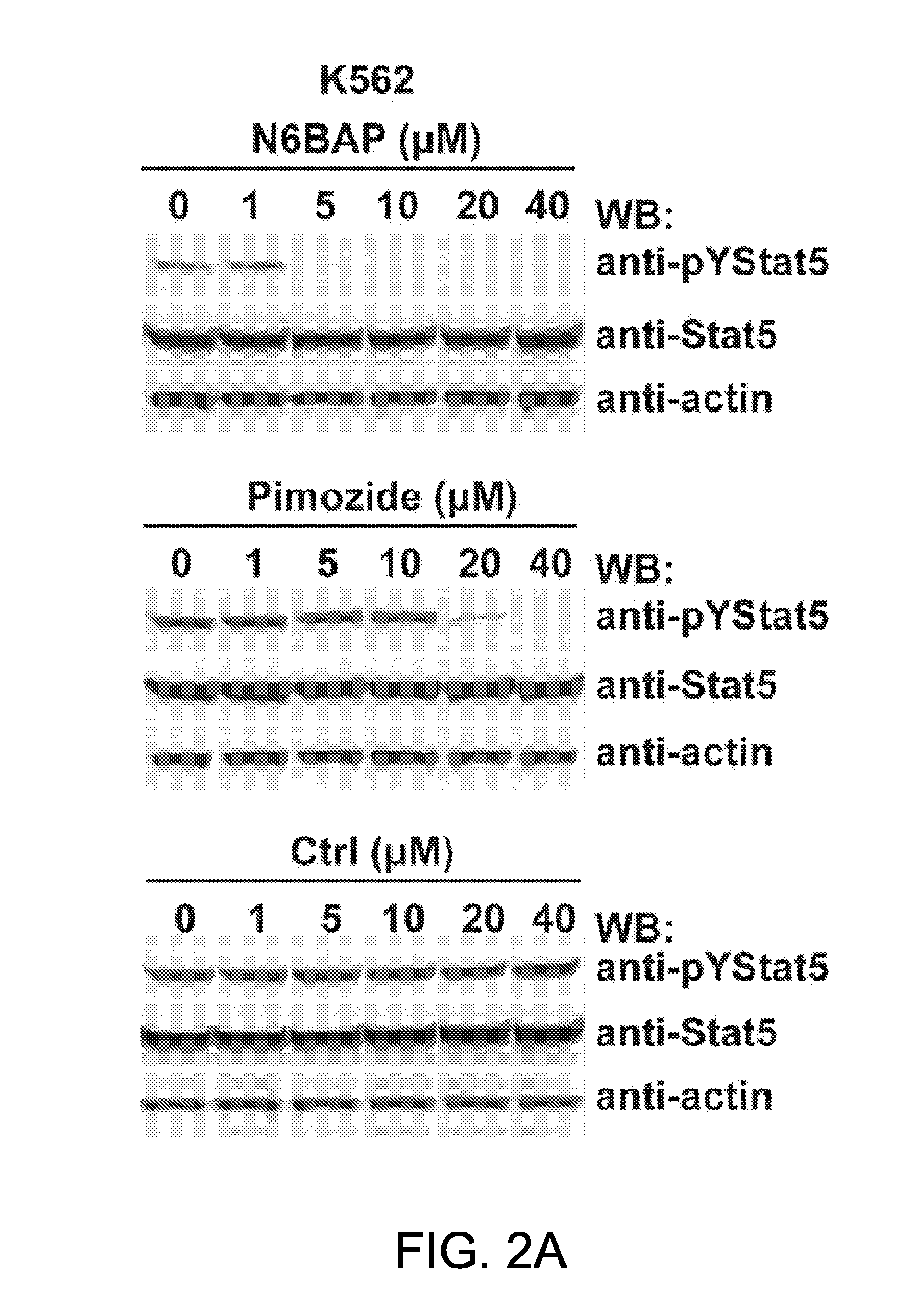 Treatment of hematological neoplasms