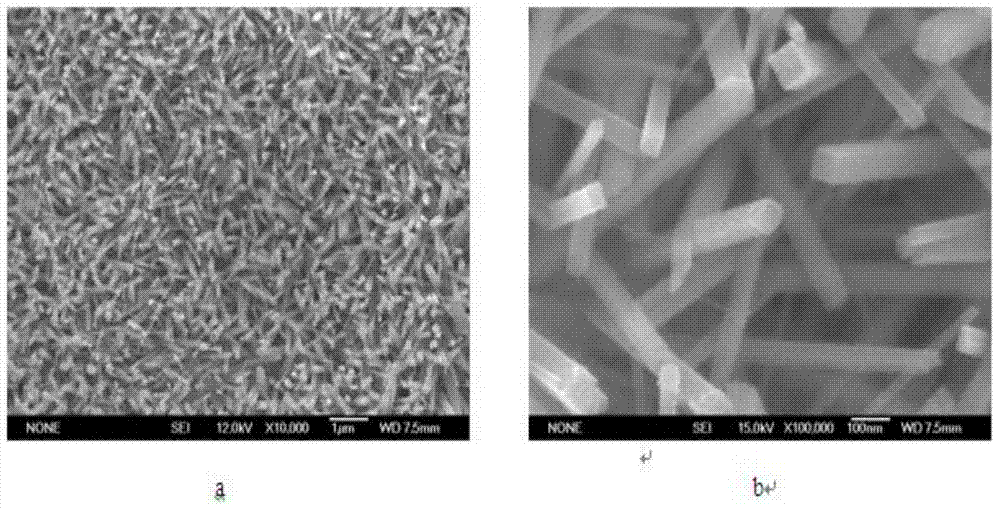 Manganese dioxide nanowire array electrode on titanium substrate and preparation method thereof
