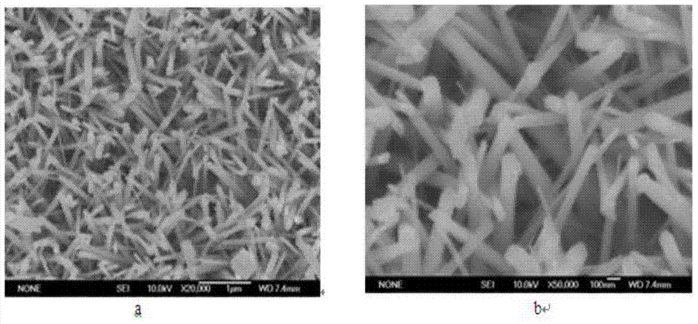 Manganese dioxide nanowire array electrode on titanium substrate and preparation method thereof