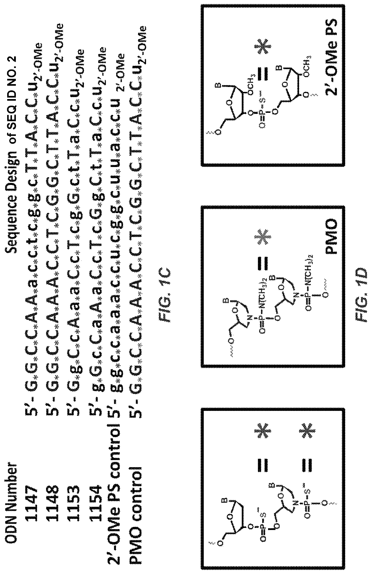 Thiomorpholino oligonucleotides for the treatment of muscular dystrophy