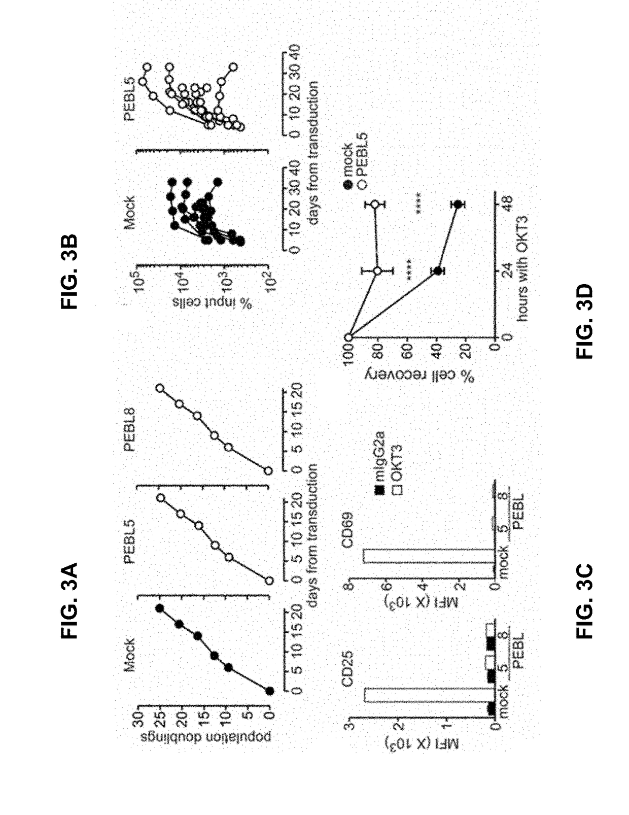 T cell receptor-deficient chimeric antigen receptor t-cells and methods of use thereof