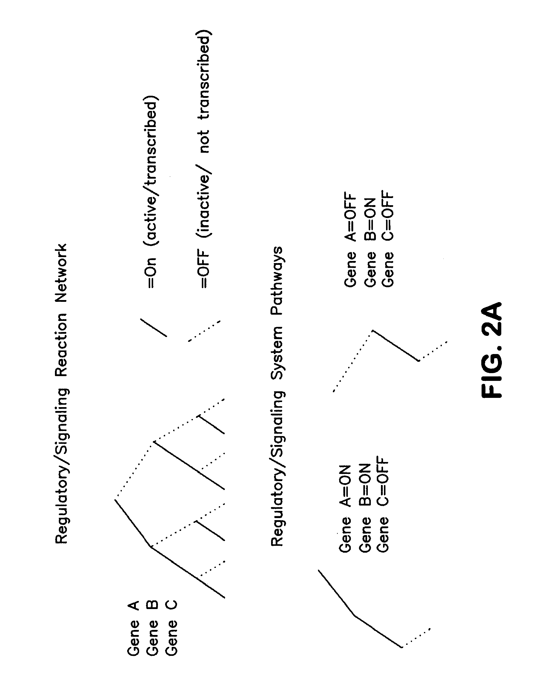 Methods and Systems to Identify Operational Reaction Pathways
