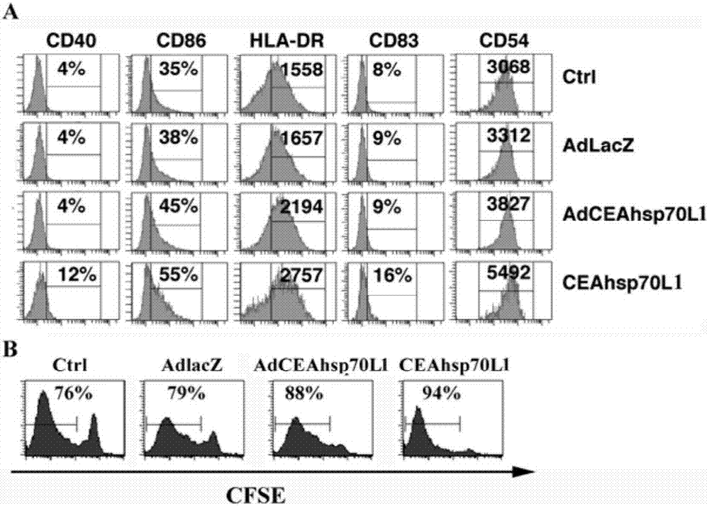 Fusion protein gene-carried recombinant adenovirus and preparation method and applications thereof