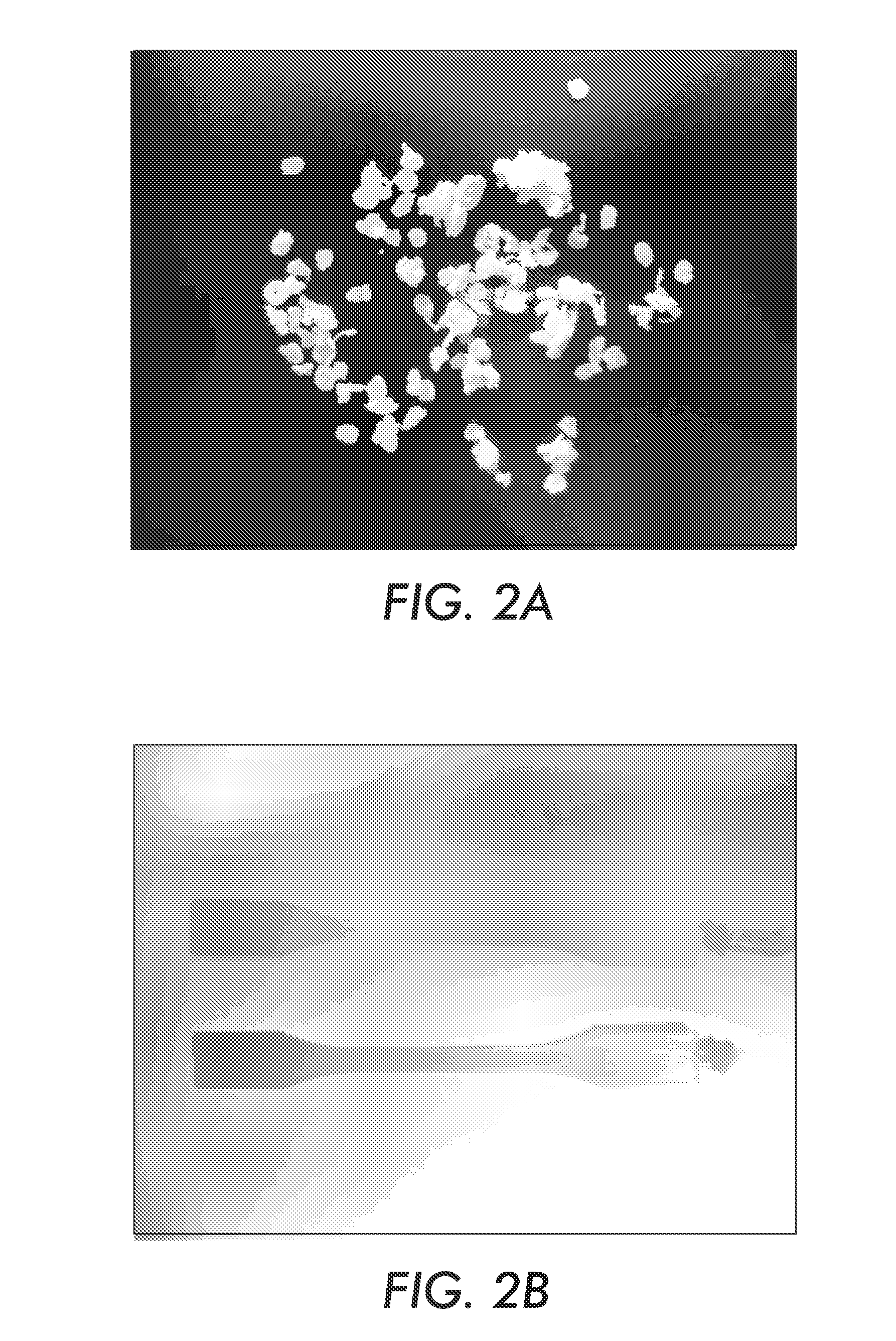 Nanocomposite master batch composition and method of manufacture