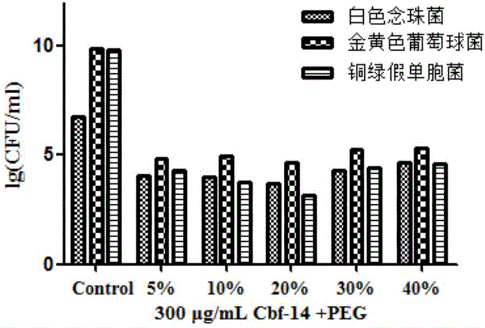 Disinfectant with antimicrobial peptides Cbf-14, and preparation and application of disinfectant