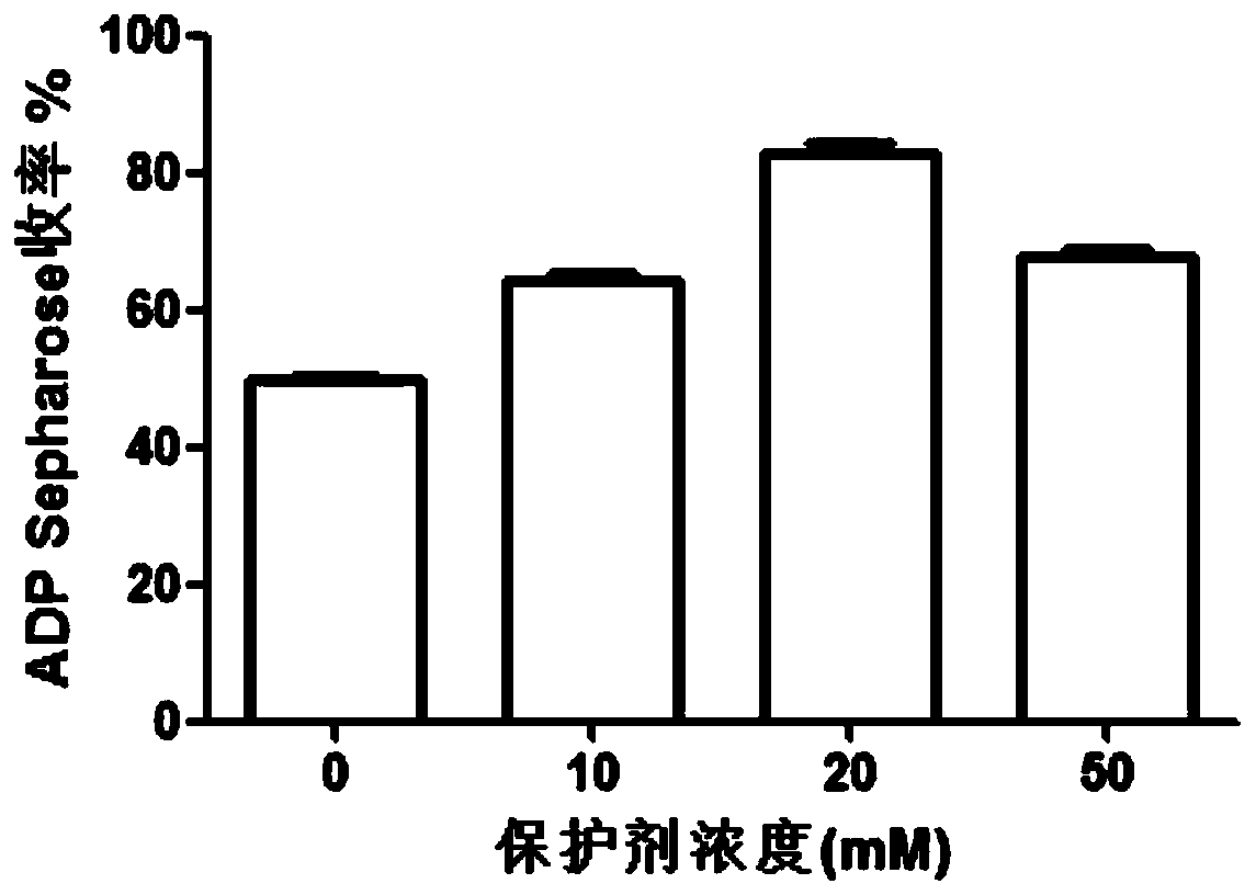 A kind of protection method of ADP matching base chromatography medium