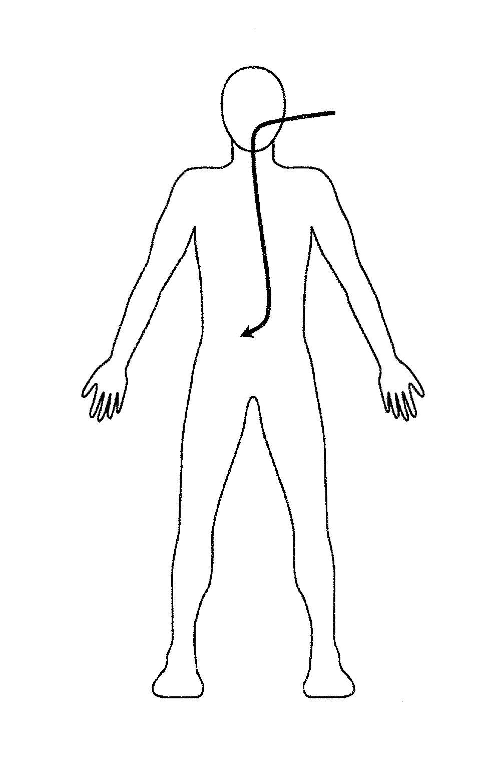 Medical information display apparatus, method, and program