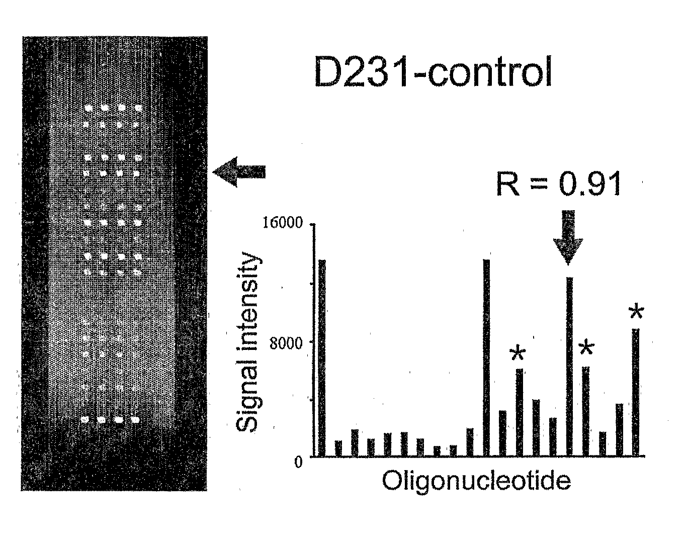 K-Ras Oligonucleotide Microarray and Method for Detecting K-Ras Mutations Employing the Same