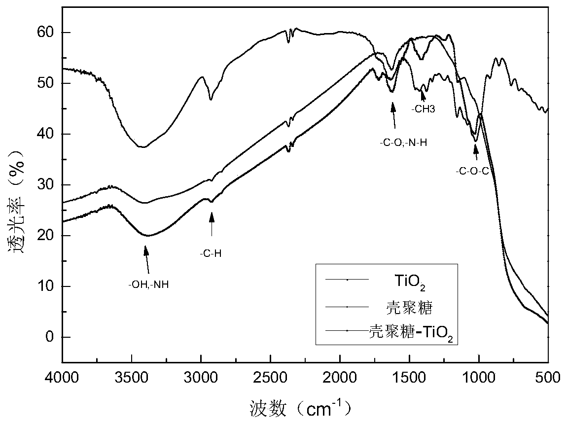 Method for improving flavor of potamocorbula enzymatic hydrolysate by photocatalysis combined with fermentation