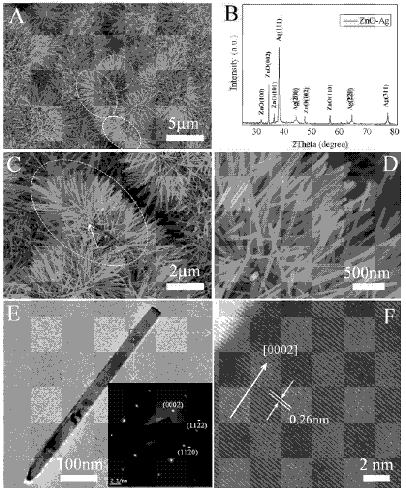 Method for preparing composite heterostructure of zinc oxide nano rods and silver micron plate