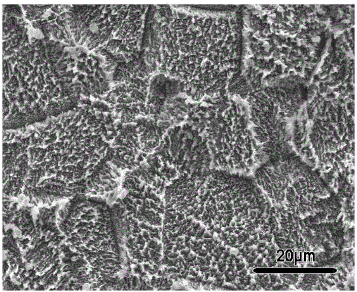 Method for preparing dicalicium phosphate anhydrous (DCPA) bioceramic coating on surface of pure titanium