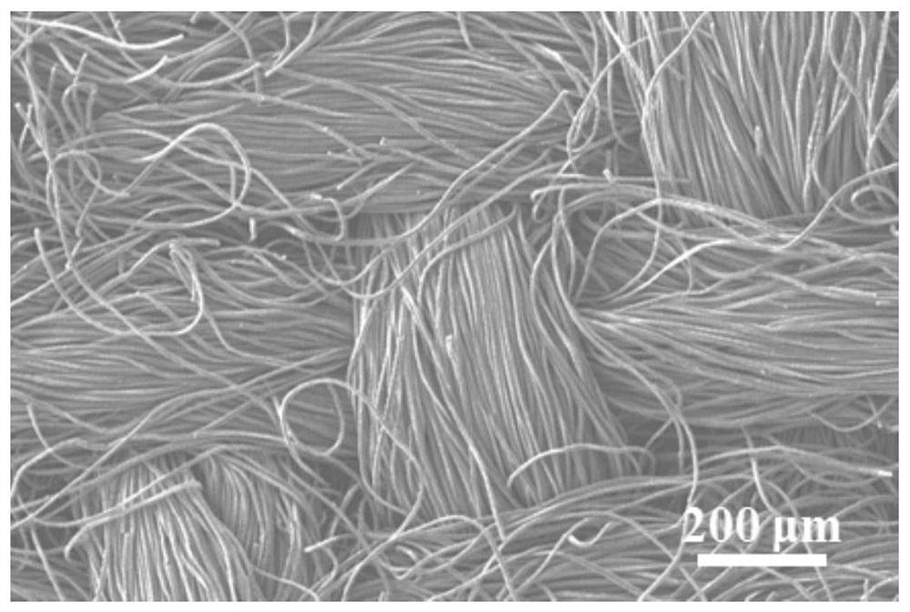 Potassium ion battery positive electrode material and preparation method thereof, potassium iodine battery