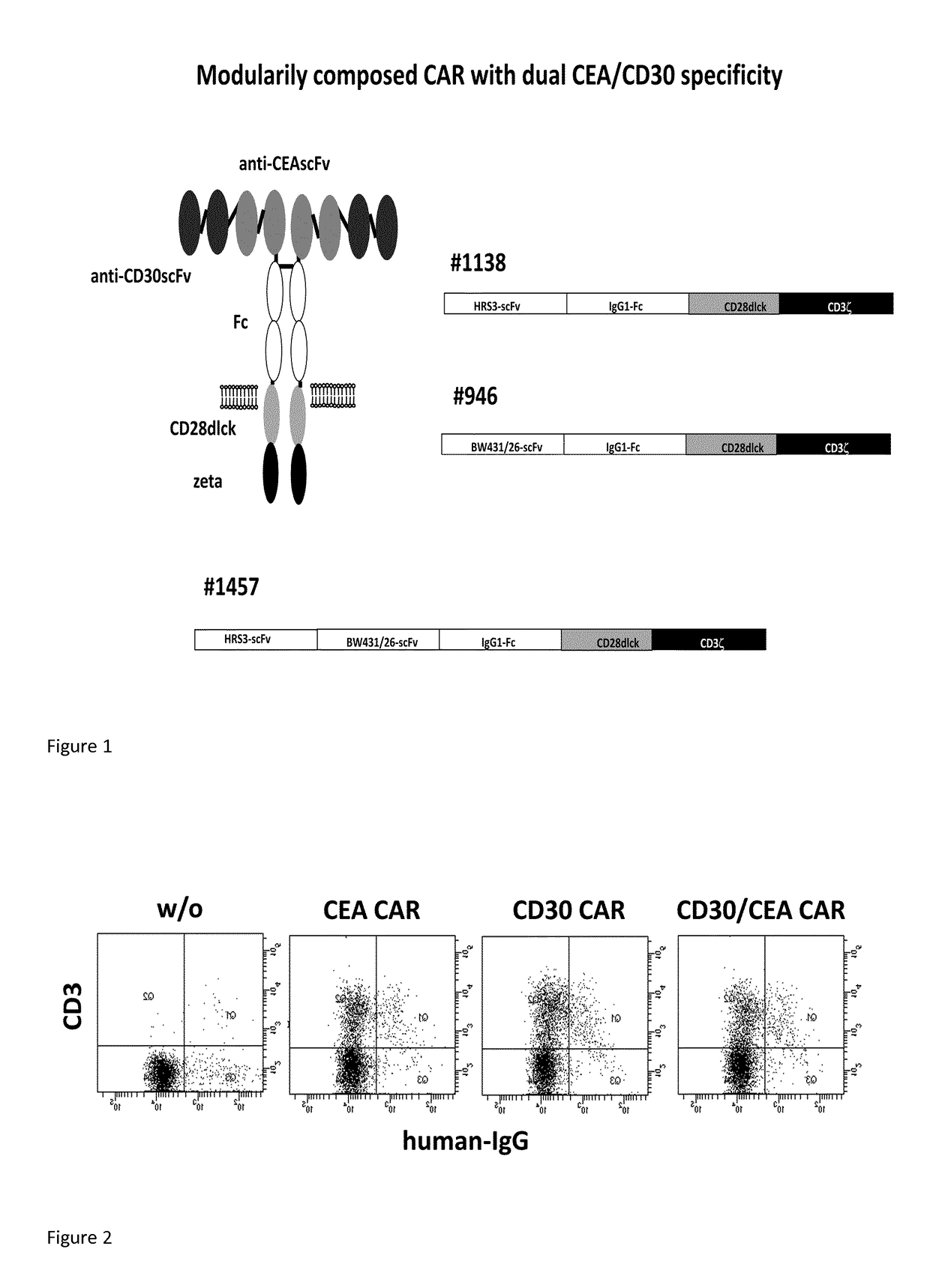 Chimeric antigen receptor and its use