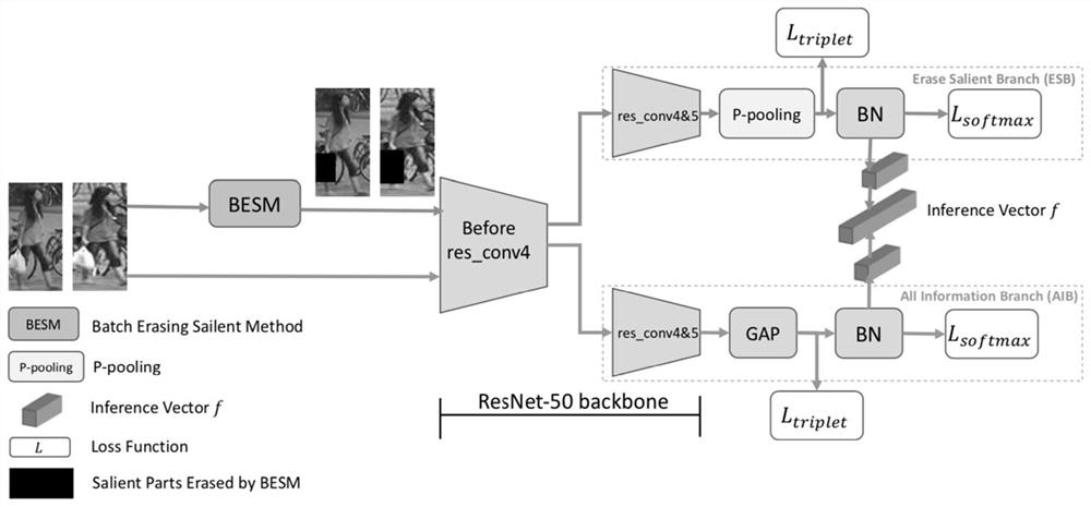 A Pedestrian Re-Identification Method Based on Erasing Salient Areas