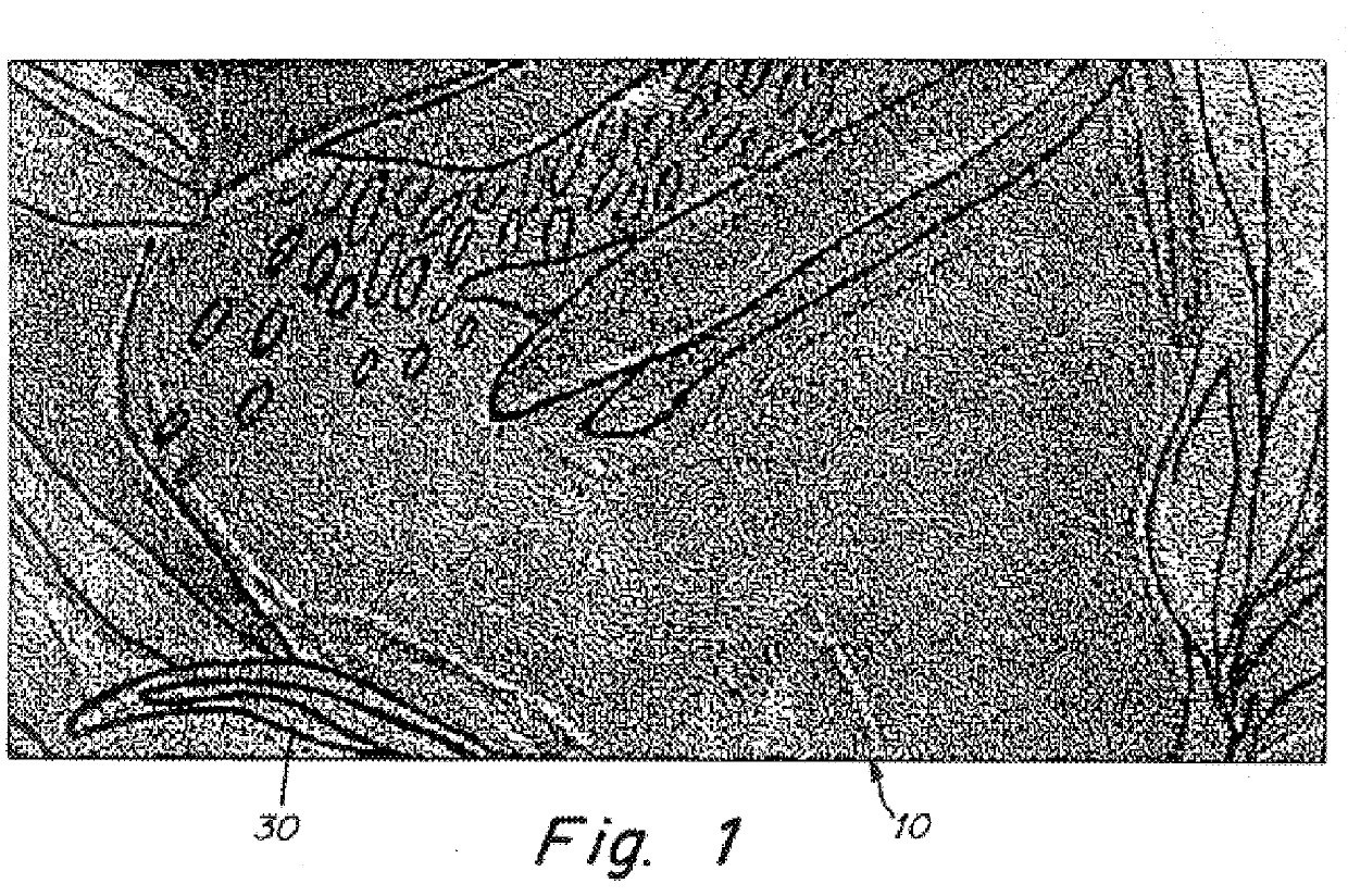 Printed flocked pile fabric and method for making same