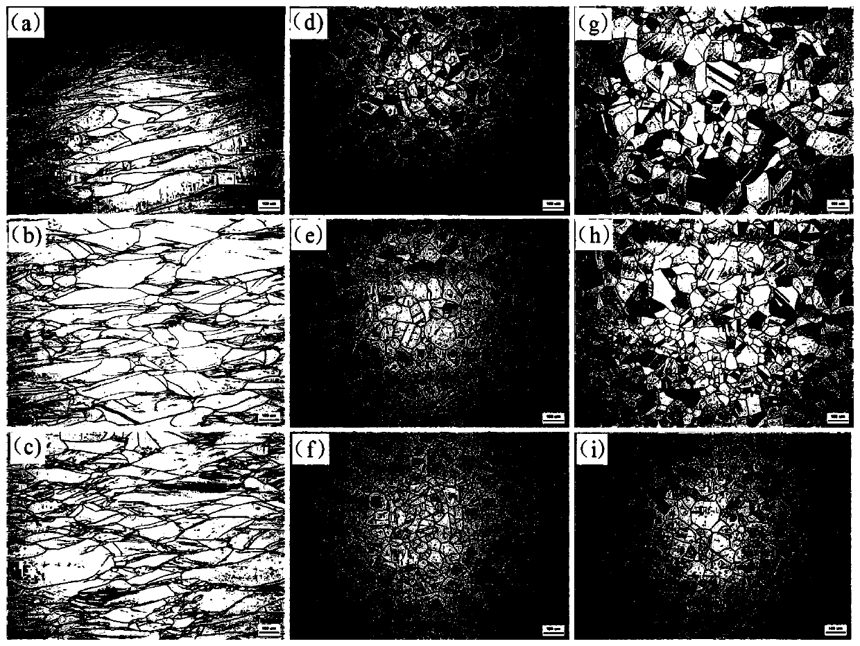 Method for controlling size uniformity of hot rolled high-carbon austenitic stainless steel grains