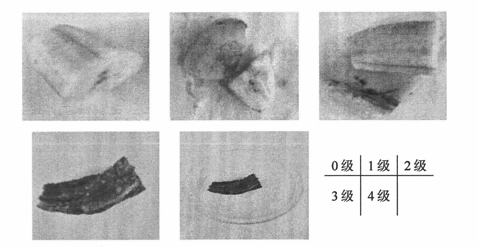 Novel food moulding judging method