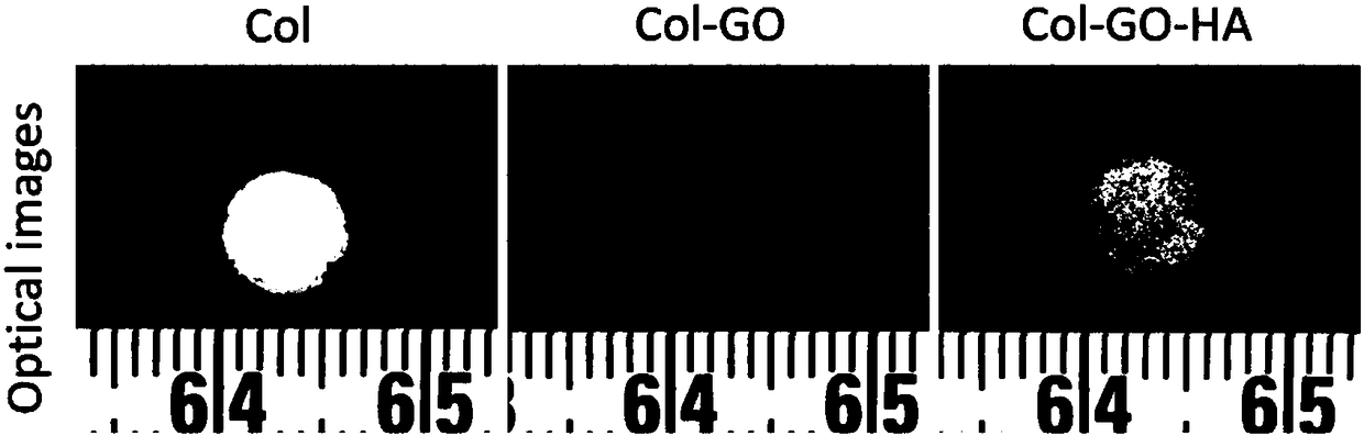 Hydroxylapatite coated collagen-graphene oxide bionic material and preparation method thereof