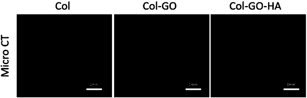 Hydroxylapatite coated collagen-graphene oxide bionic material and preparation method thereof